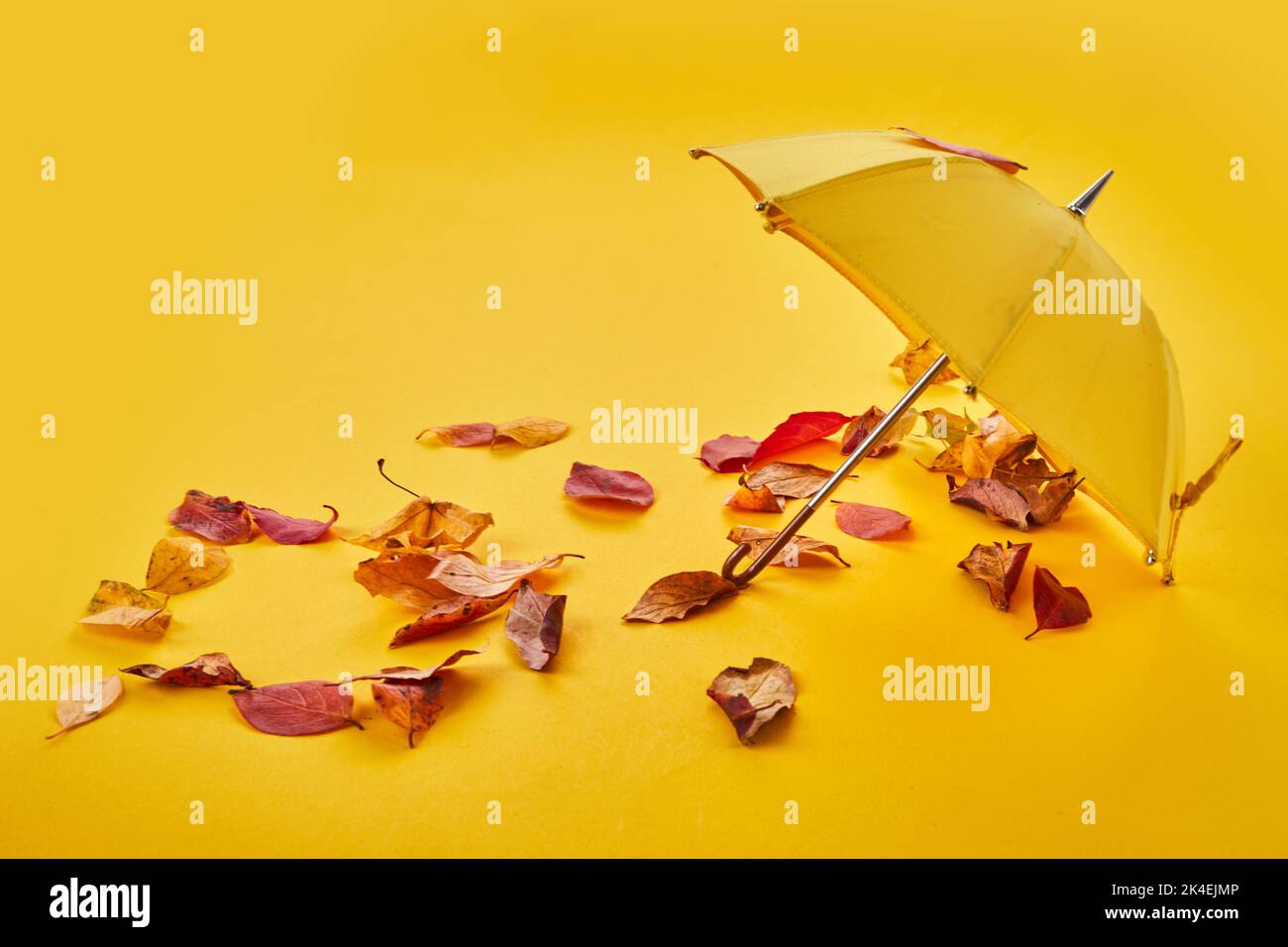 Yellow umbrella on the ground by the air and autumn leaves. Stock Photo