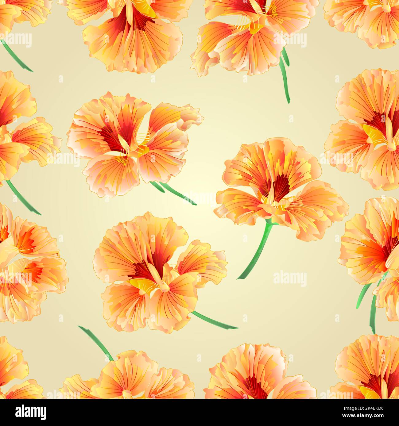 Spring flower watercress vegetable healthy food vector illustration