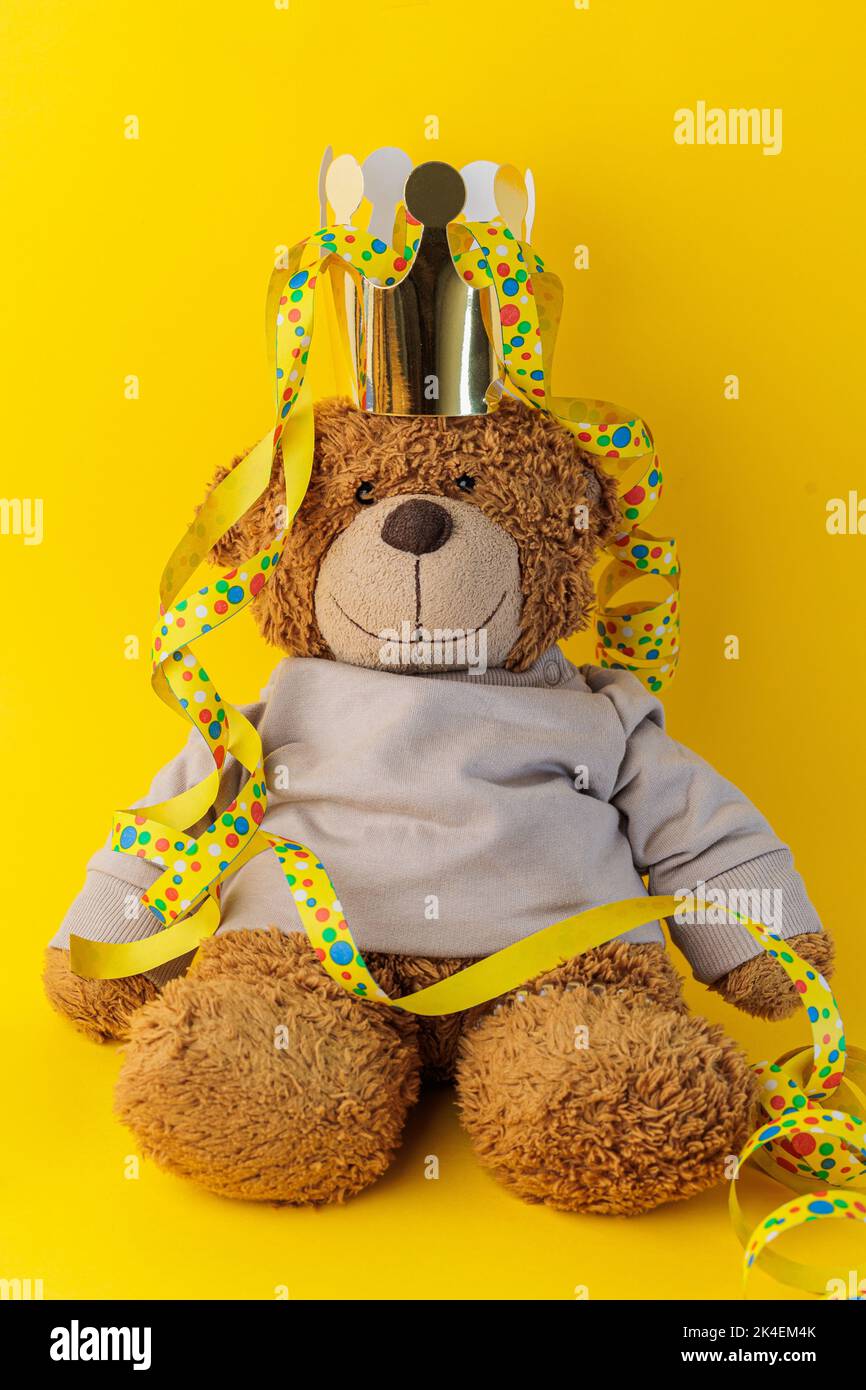 Adorable plush teddy bear with a crown on its hat. Teddy Bear with pullover ready for a party Stock Photo