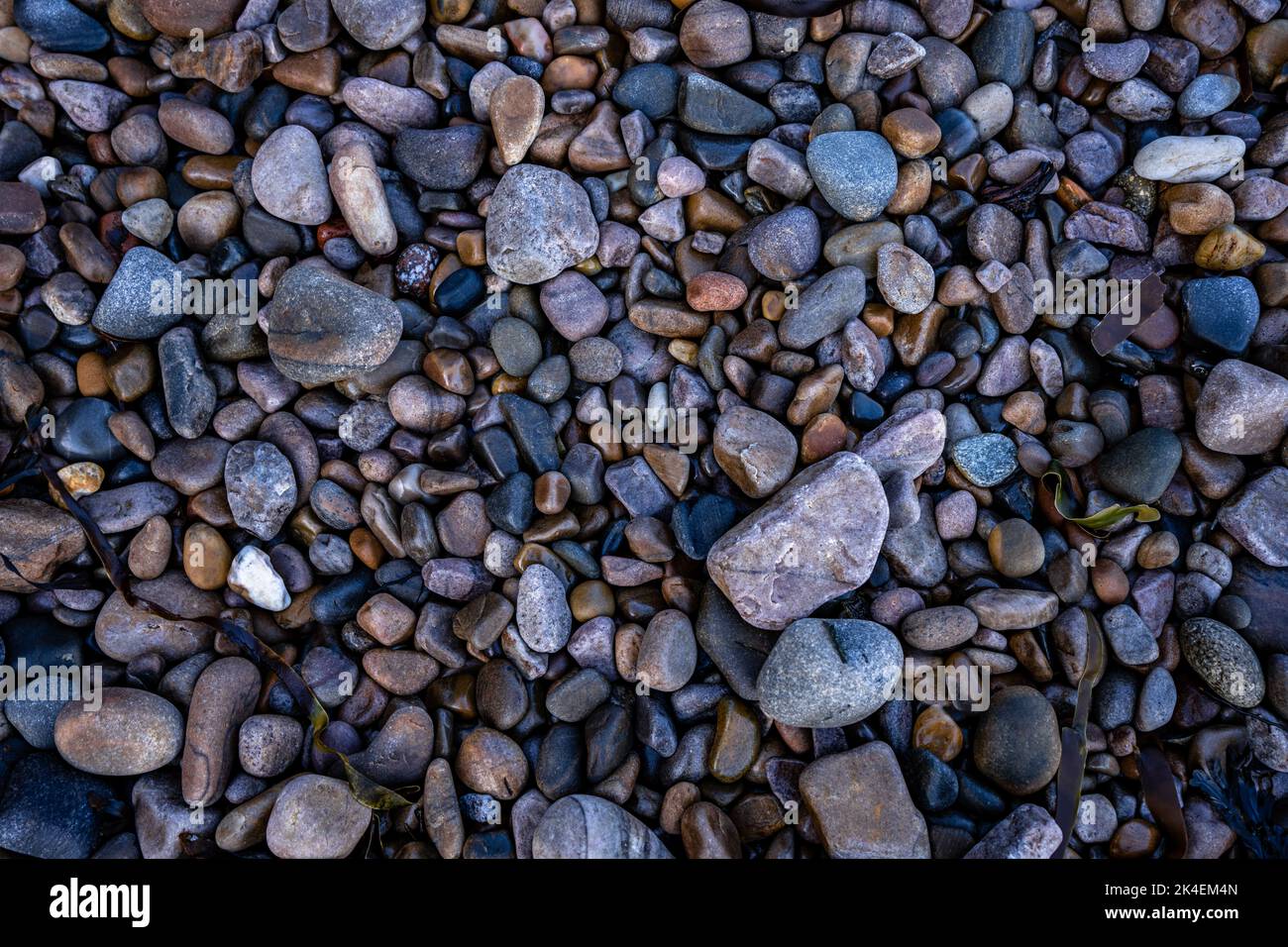 Side Beach Rocks Texture Background Texture of beach rocks and pebbles Stock Photo - Alamy