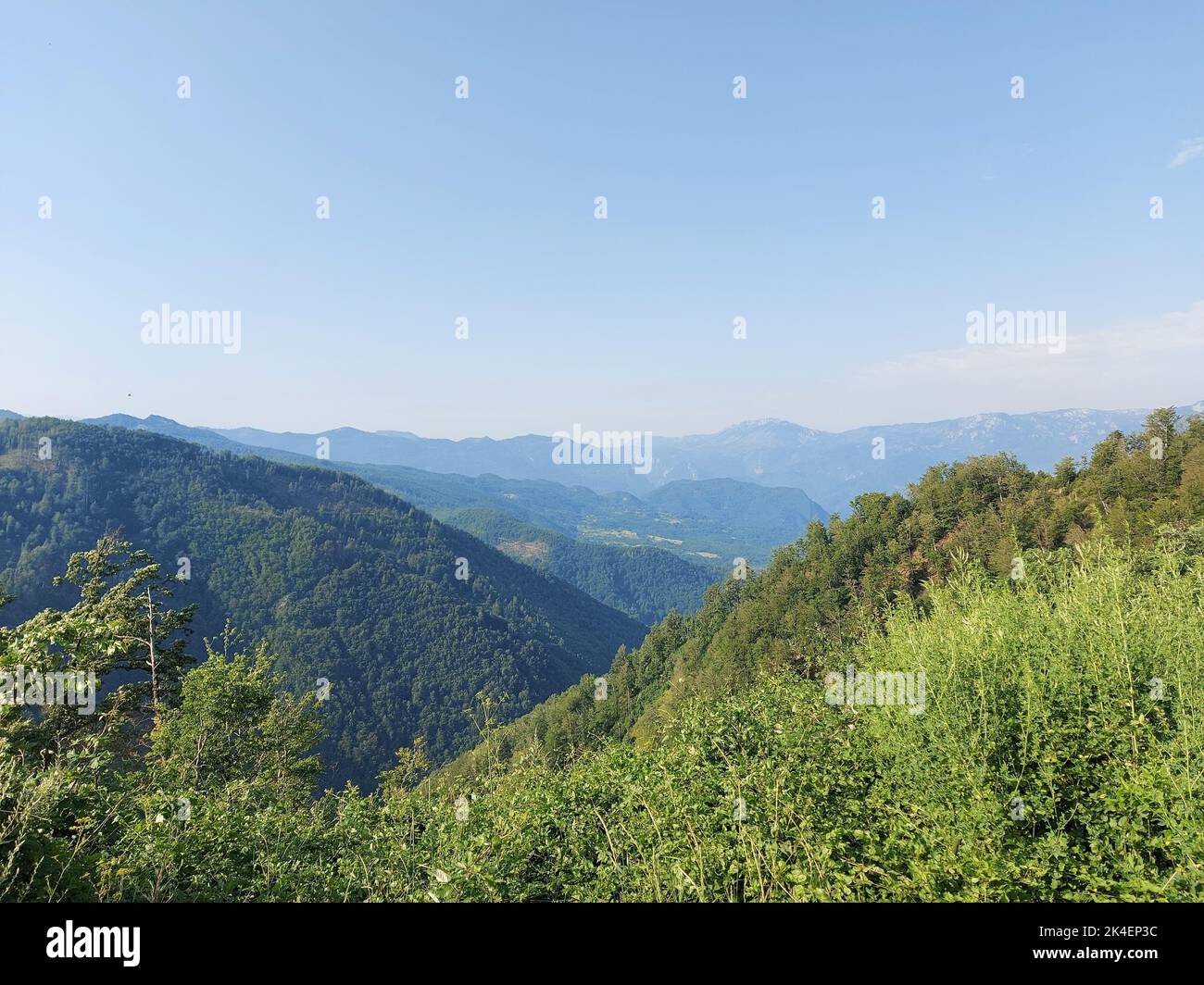 An aerial view of green hills with trees under a blue sky Stock Photo ...