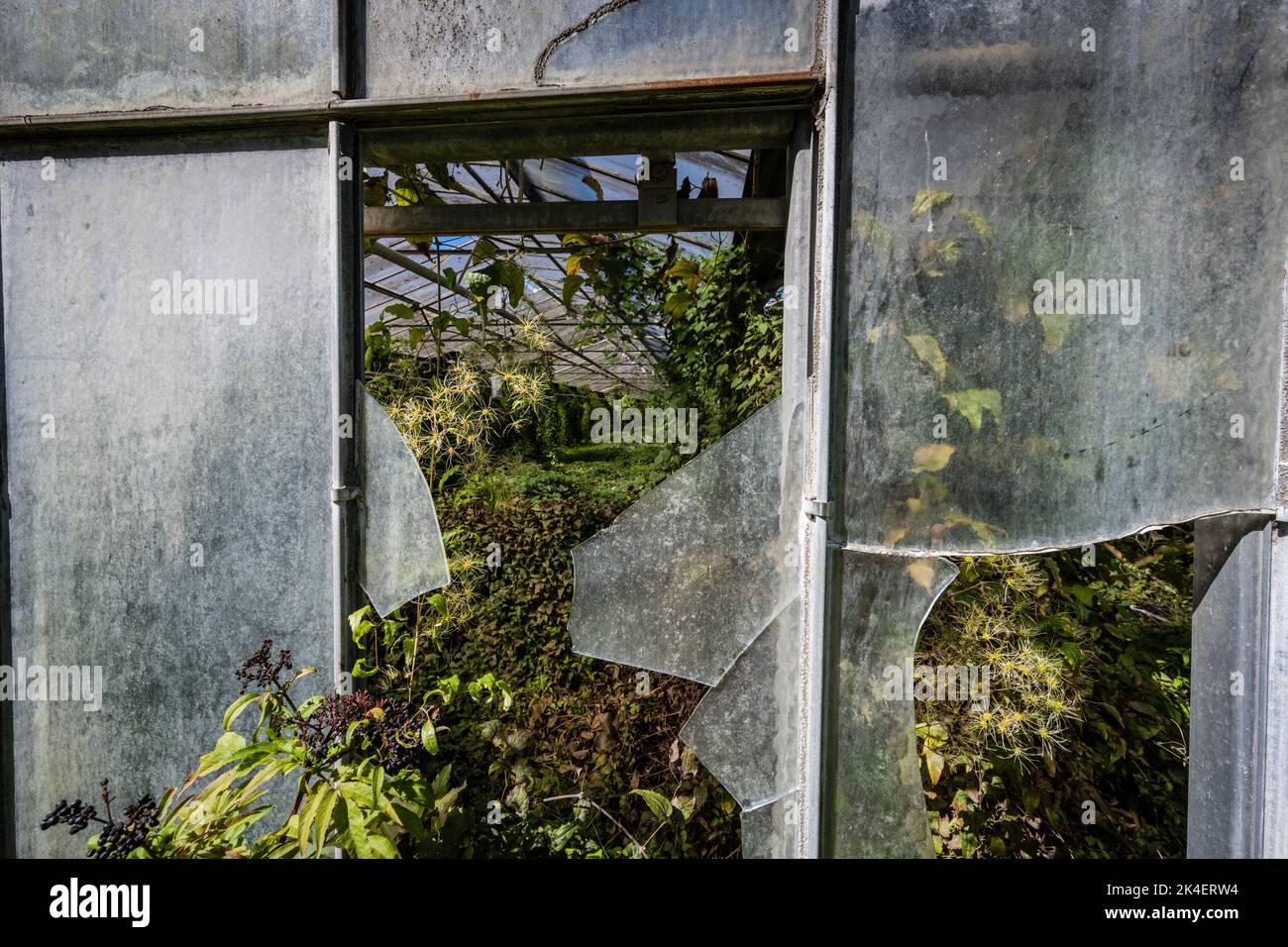 Abandoned greenhouse france hi-res stock photography and images - Alamy