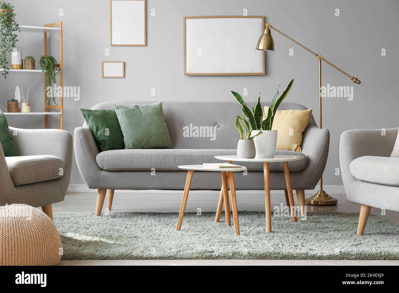Interior of modern living room with houseplants, sofa and armchairs ...
