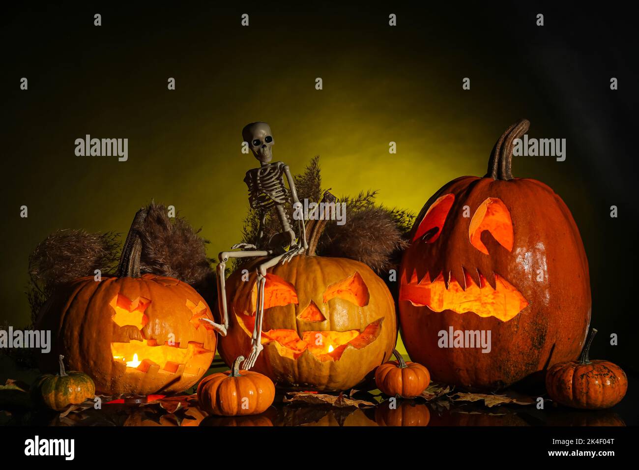 Carved Halloween pumpkins with skeleton and pampas grass on dark ...