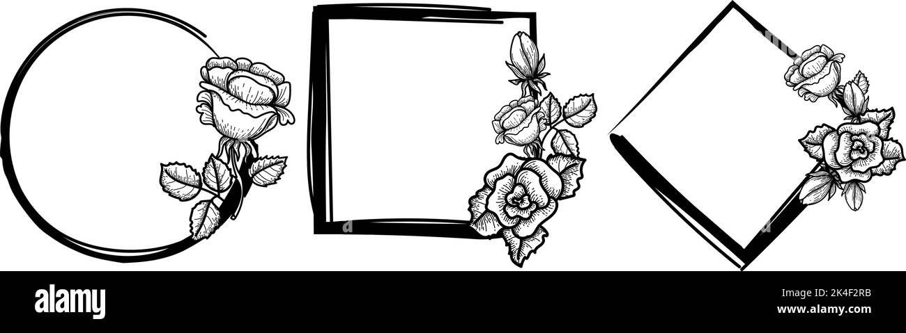 Hand-drawn rose in doodle style. Set of frames with roses. Flowers ...