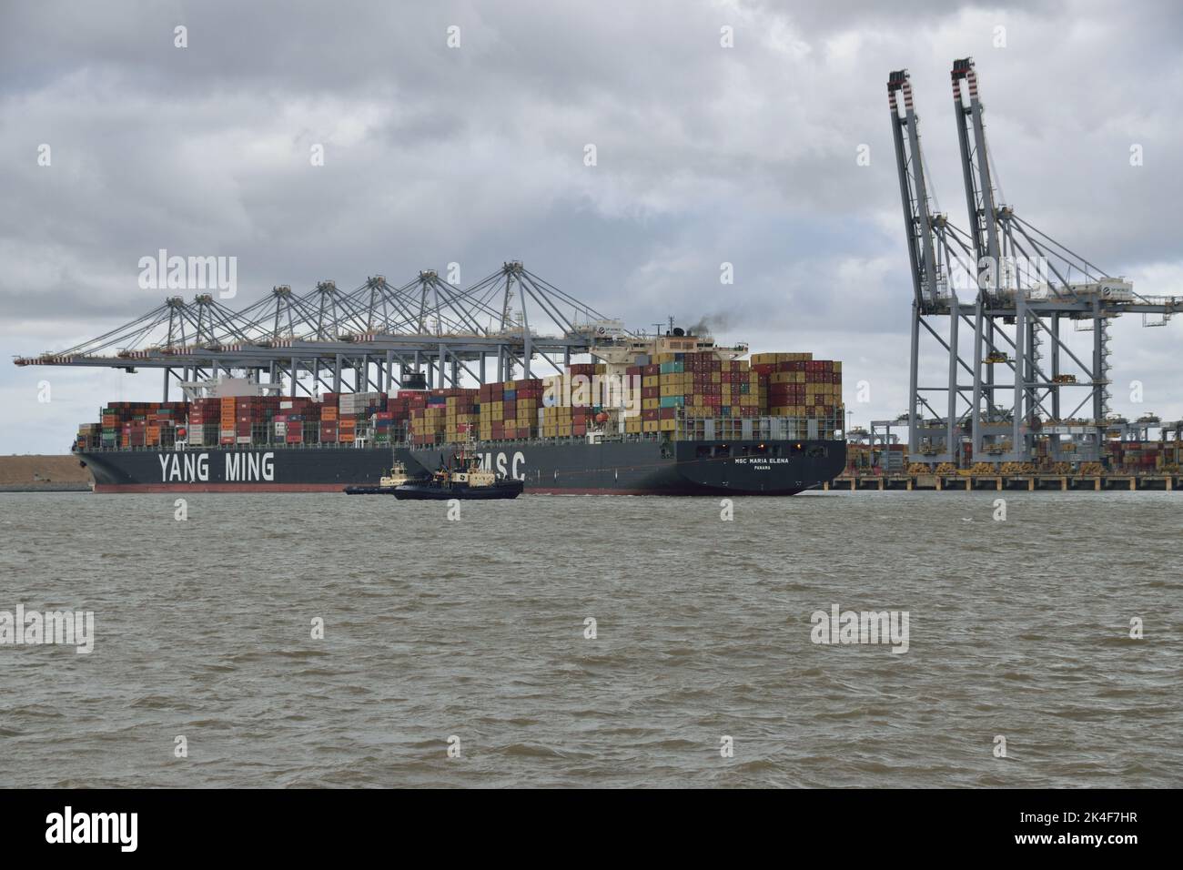 Container ships YM WELLSPRING and MSC Maria Elena  visiting the DP World London Gateway port on the Thames Stock Photo