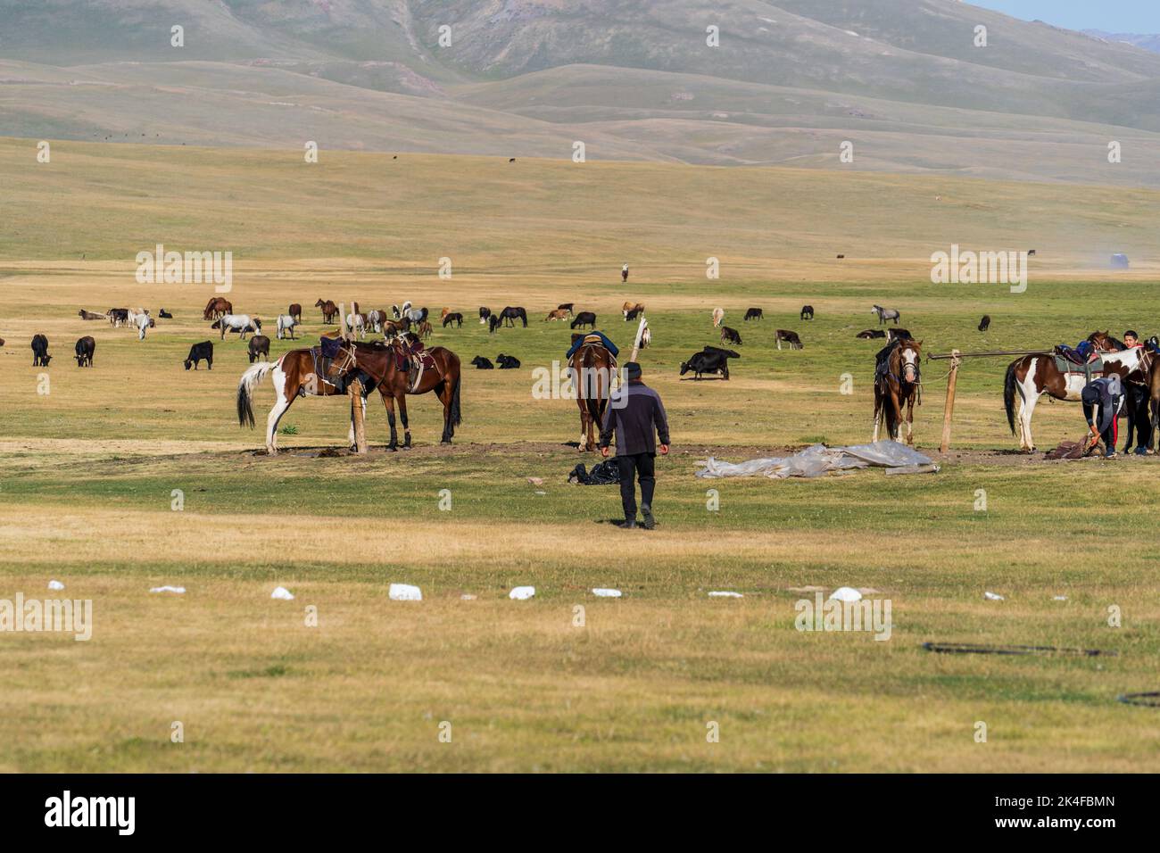 Nomadic herder walks to herd animals at Song Kul yurt camp, Kyrgyzstan Stock Photo