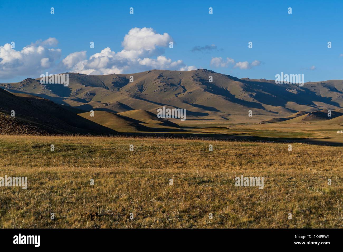 Gentle rolling hills of Song Kul Lake during golden hour sunset, Kyrgyzstan Stock Photo