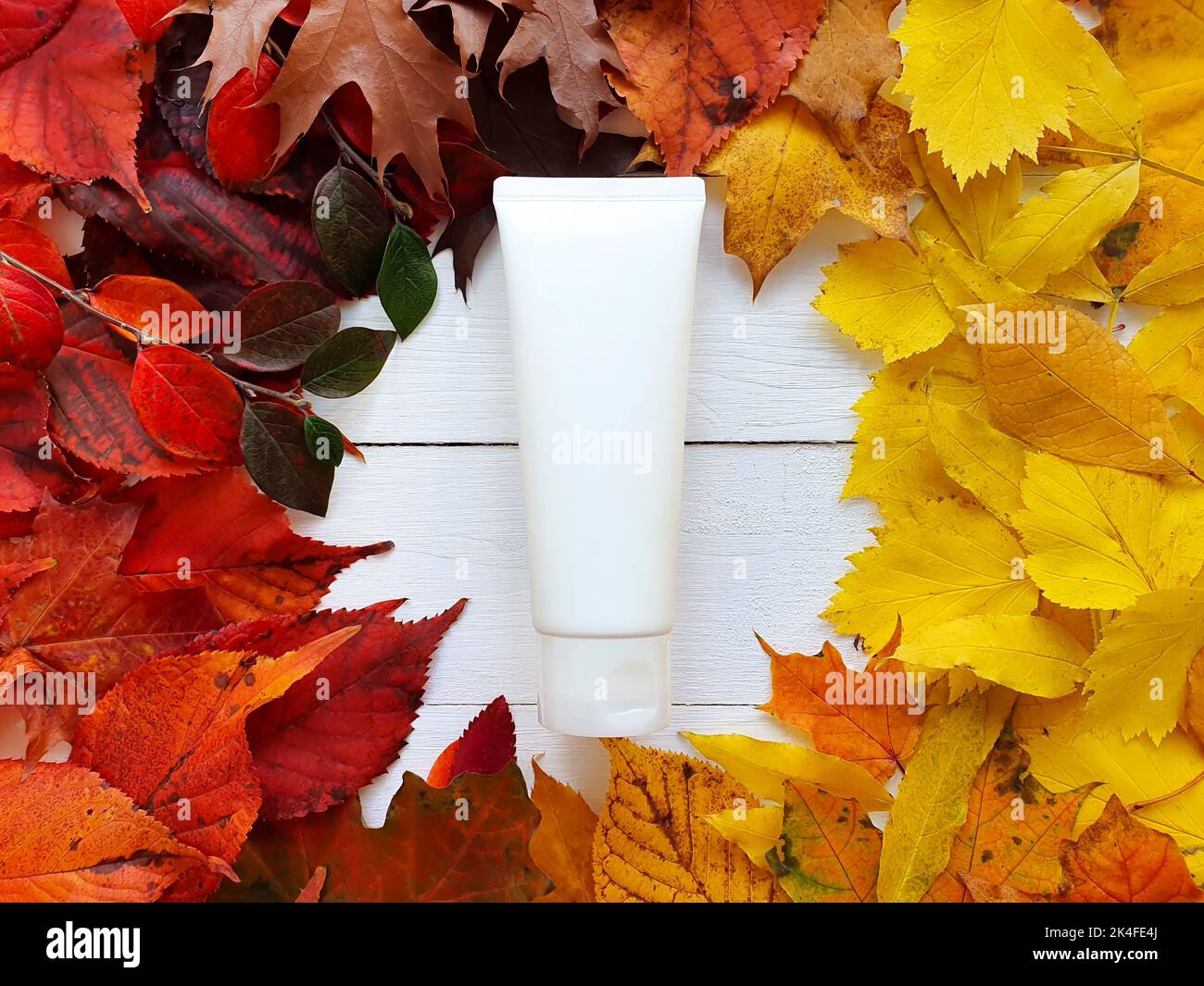 White squeeze bottle cosmetic tube and round frame of bright autumn or fall leaves on white wooden table. Natural organic spa cosmetics concept, flatl Stock Photo