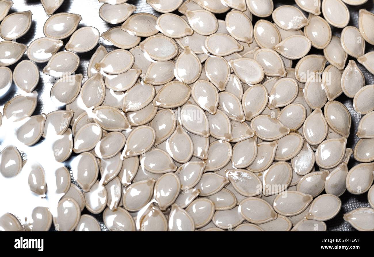 Pumpkin seeds creating a natural, spiral structure. Pure pumpkin seeds Stock Photo Alamy