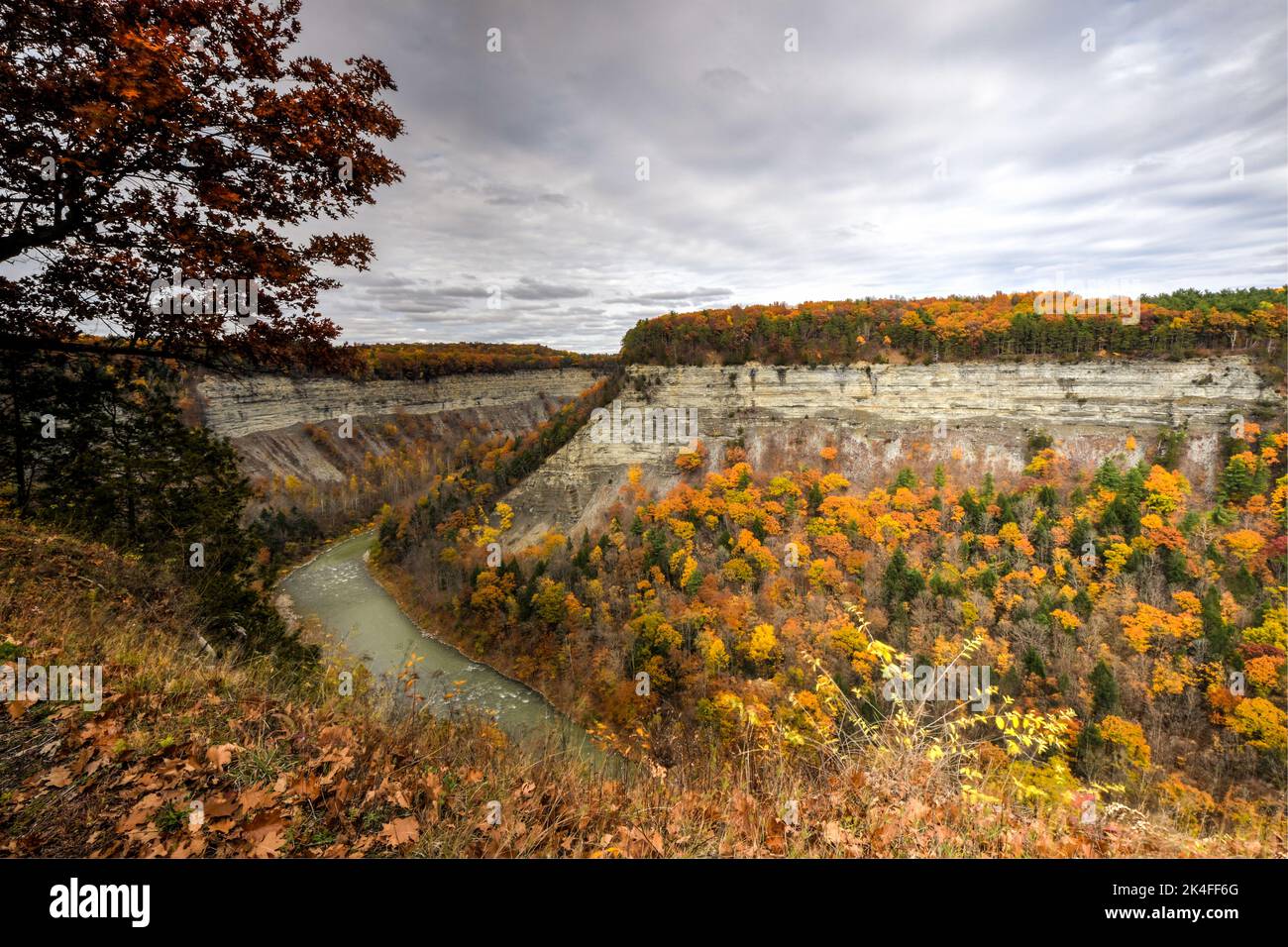 fall foliage in Letchworth State Park Stock Photo Alamy