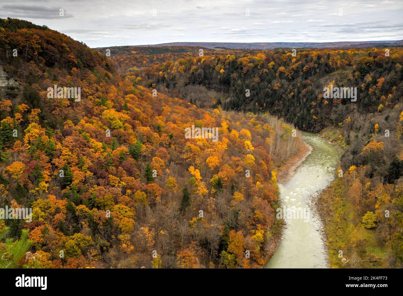fall foliage in Letchworth State Park Stock Photo Alamy