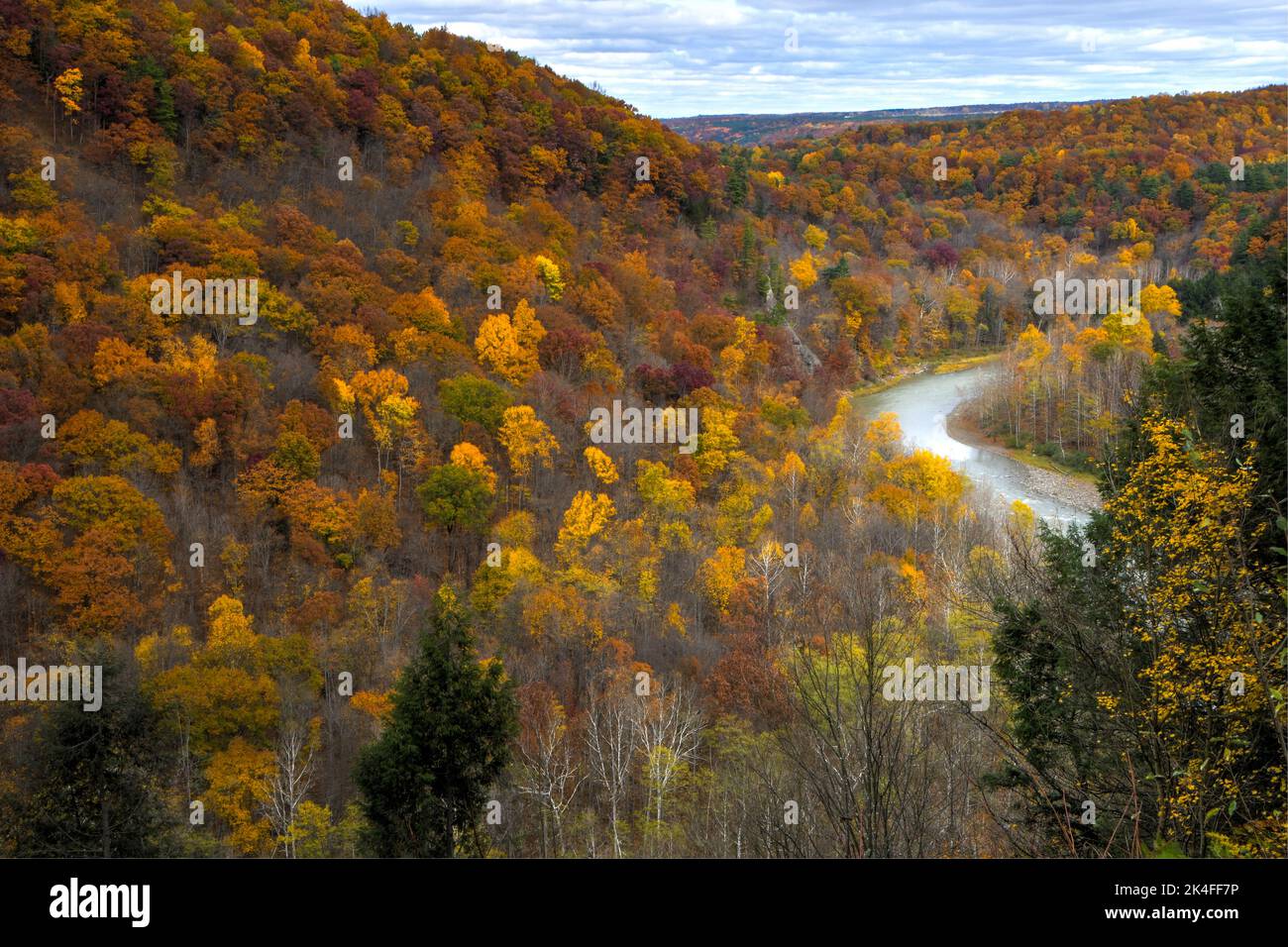 fall foliage in Letchworth State Park Stock Photo Alamy