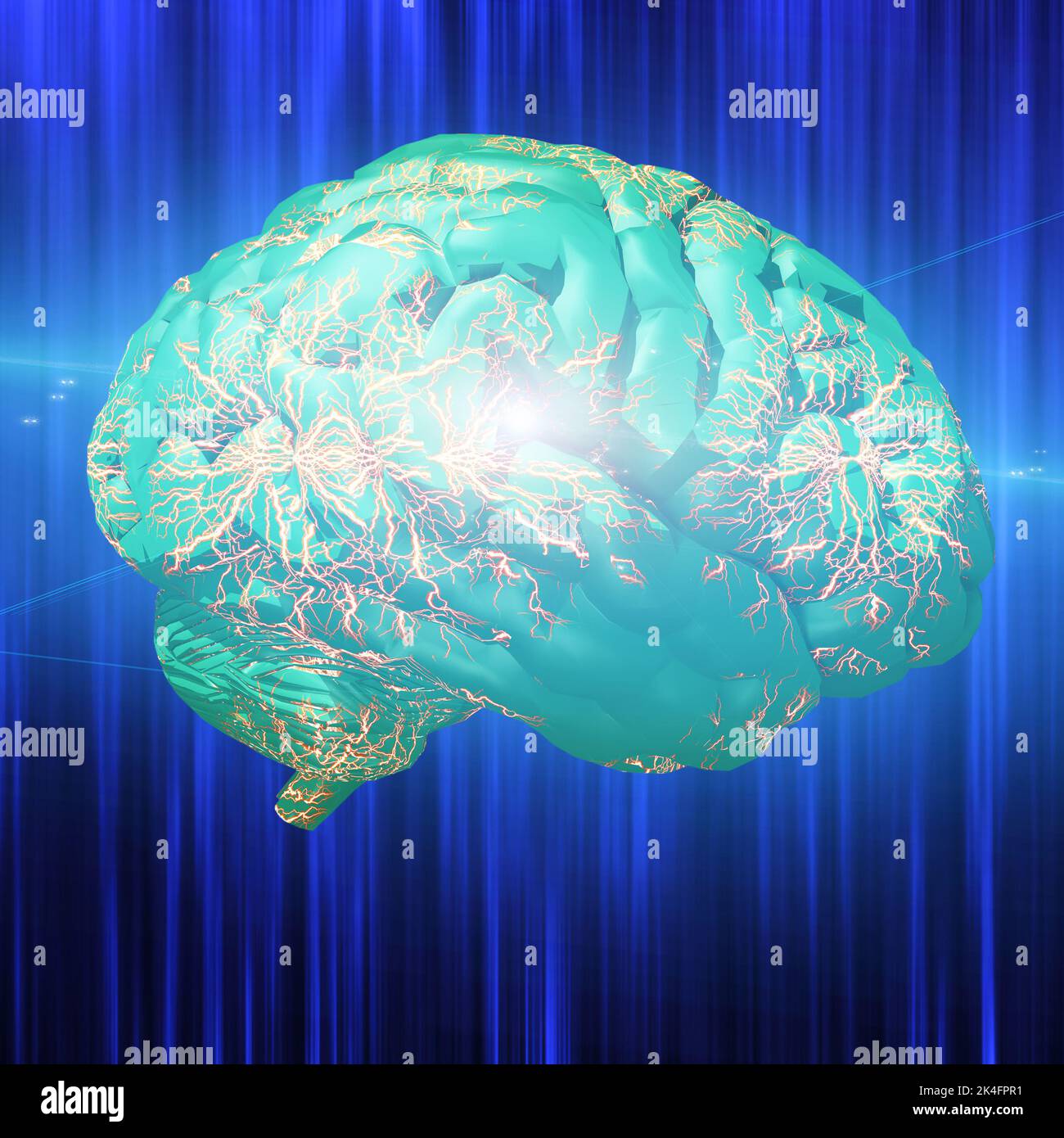 Human brain model. 3D rendering Stock Photo - Alamy