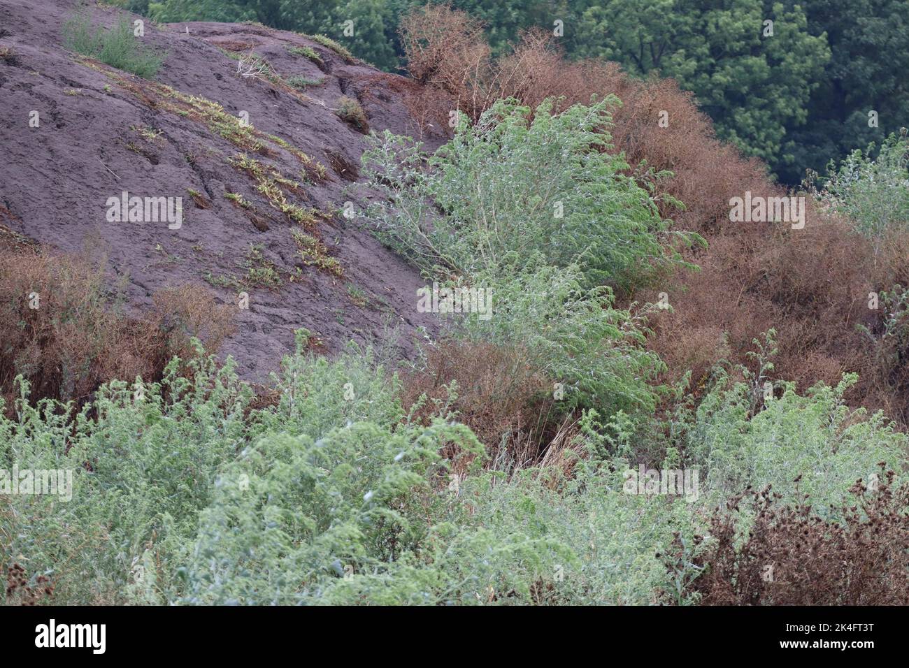 Discolored soil hi-res stock photography and images - Alamy