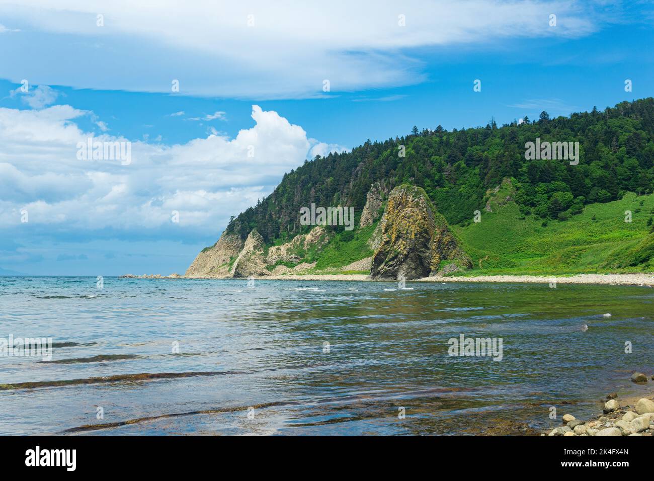 coastal landscape, rocky green coast of Kunashir island, sandy beach with algae on the littoral at low tide in the foreground Stock Photo