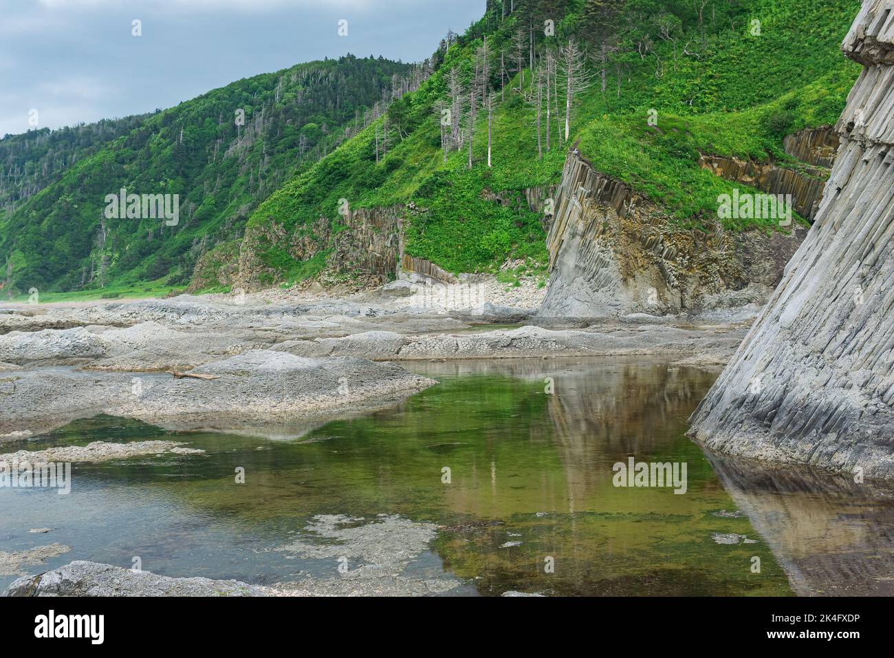 coastal landscape, beautiful columnar basalt cliff on the wooded coast of Kunashir island Stock Photo