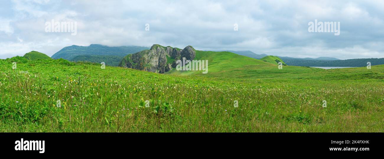 beautiful landscape of Kunashir island with grassy hills and basalt cliffs, focus on near forbs Stock Photo