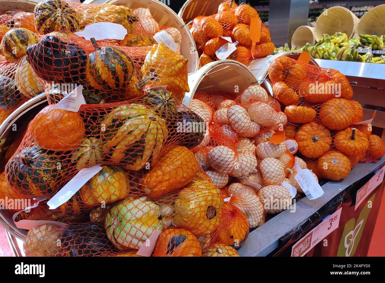 Toronto, Canada - 09-22-2022: Pumpkins in the basket for sale in the supermarket Stock Photo