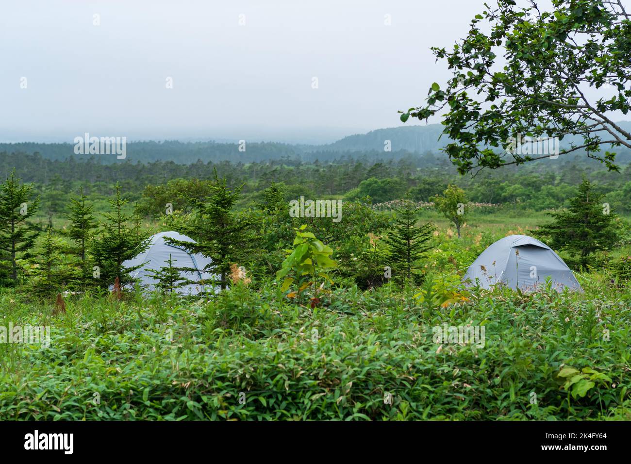 tourist tent among the grass in a cloudy valley Stock Photo