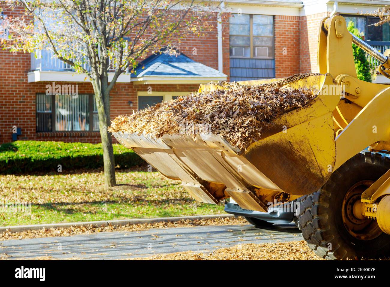 In autumn, municipal workers clean and remove fallen leaves near houses Stock Photo