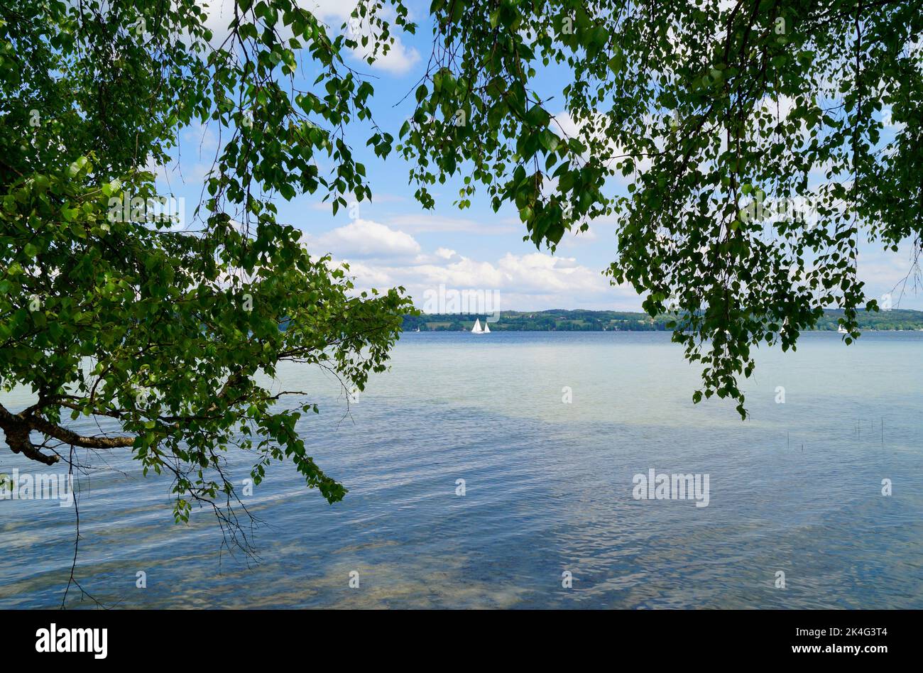 Trees bythe lake hi-res stock photography and images - Alamy