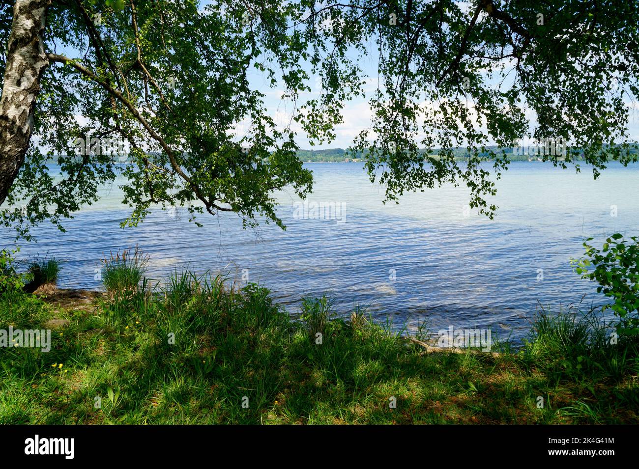 Trees bythe lake hi-res stock photography and images - Alamy