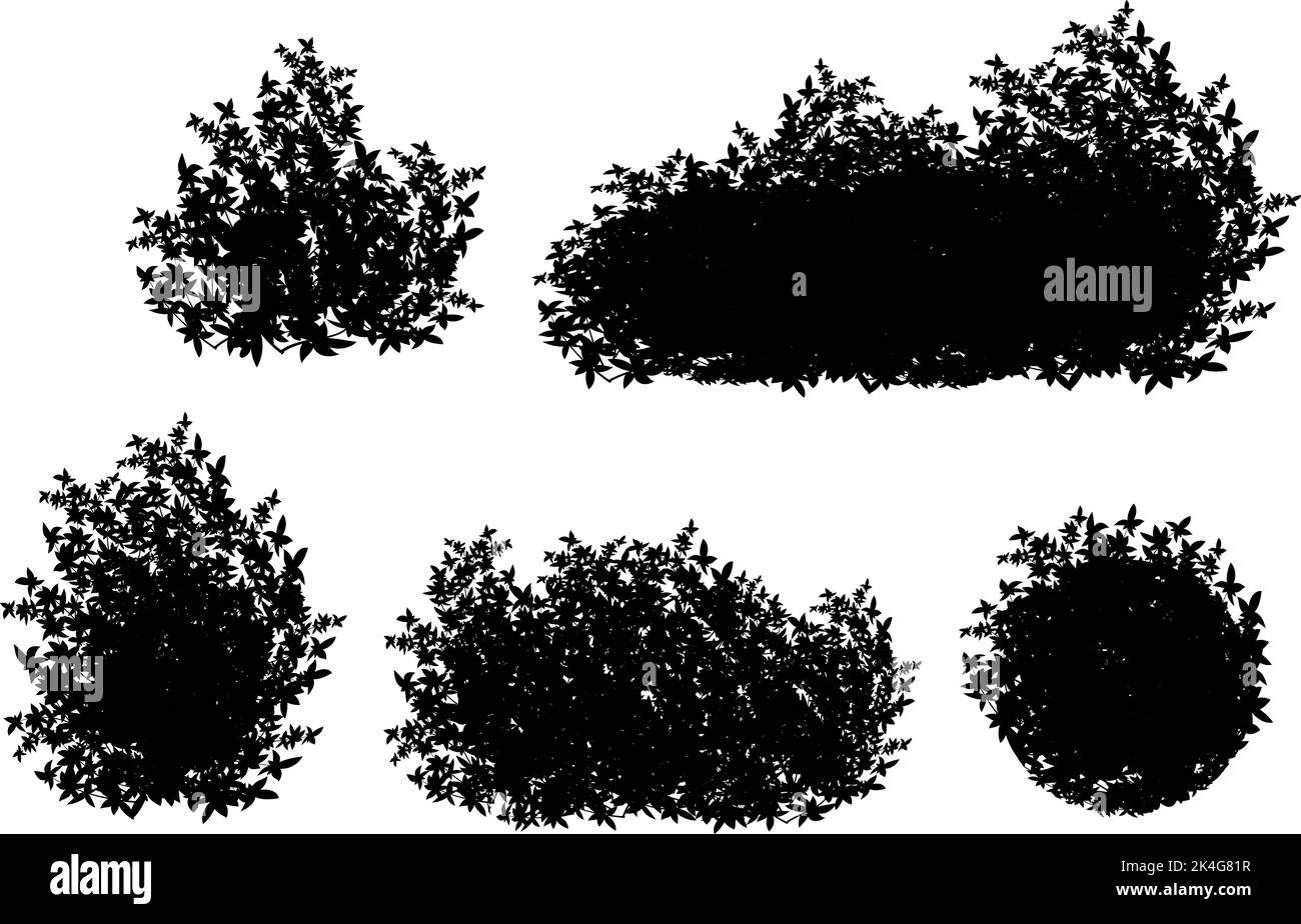 .Realistic garden shrub, seasonal bush, boxwood, tree crown bush ...