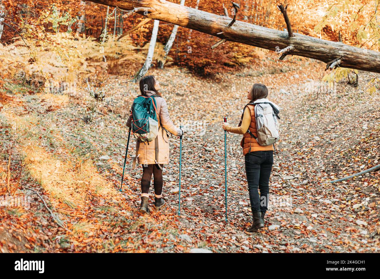 Two girls walking together hi-res stock photography and images - Alamy