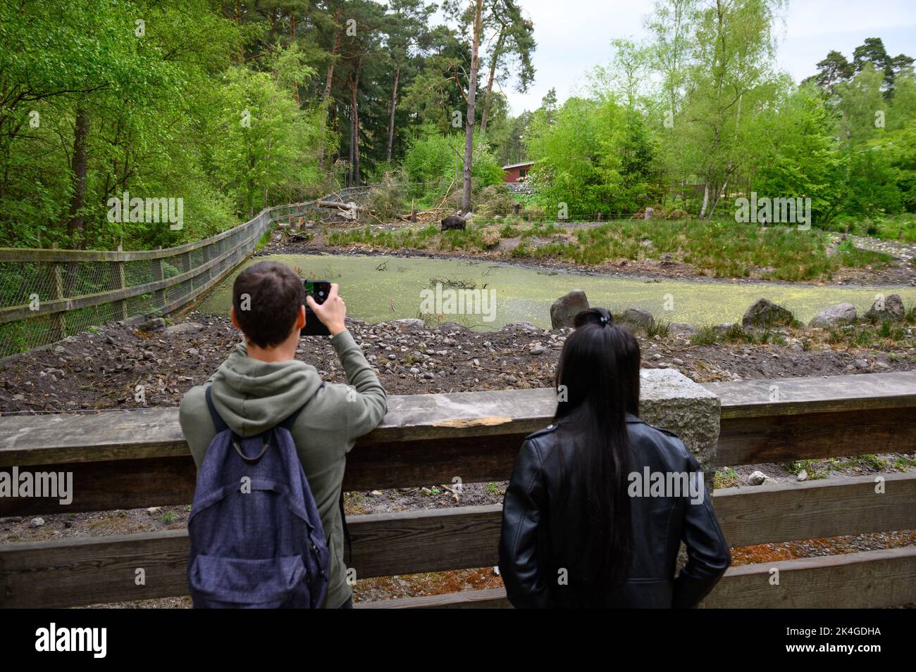 Hamburg, Germany. 07th May, 2022. Visitors take pictures of the wild boar enclosure in the Klövensteen game reserve. Credit: Jonas Walzberg/dpa/Alamy Live News Stock Photo