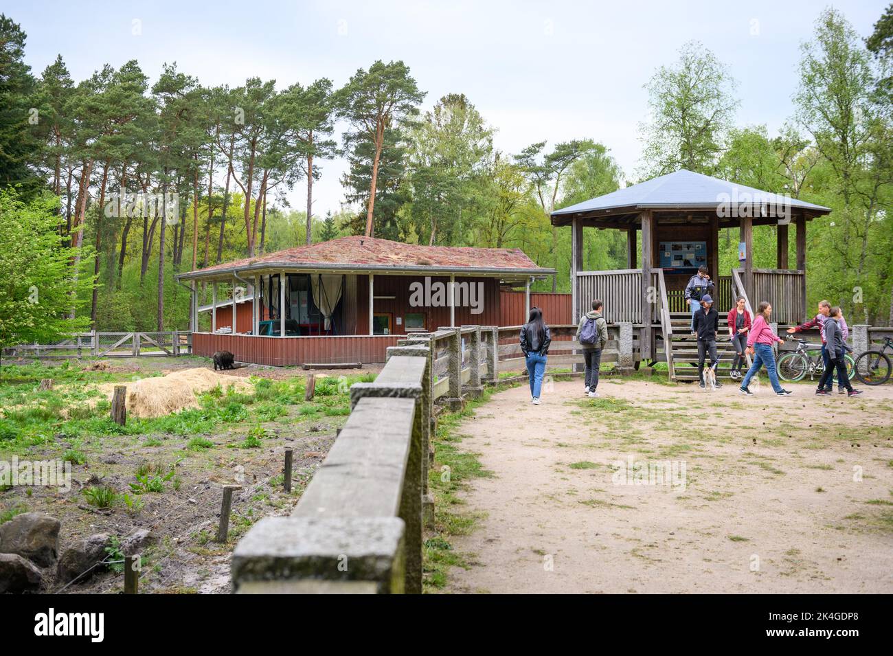 Hamburg, Germany. 07th May, 2022. The wild boar enclosure with observation tower (r) and farm building (l) in the Klövensteen game reserve. Credit: Jonas Walzberg/dpa/Alamy Live News Stock Photo