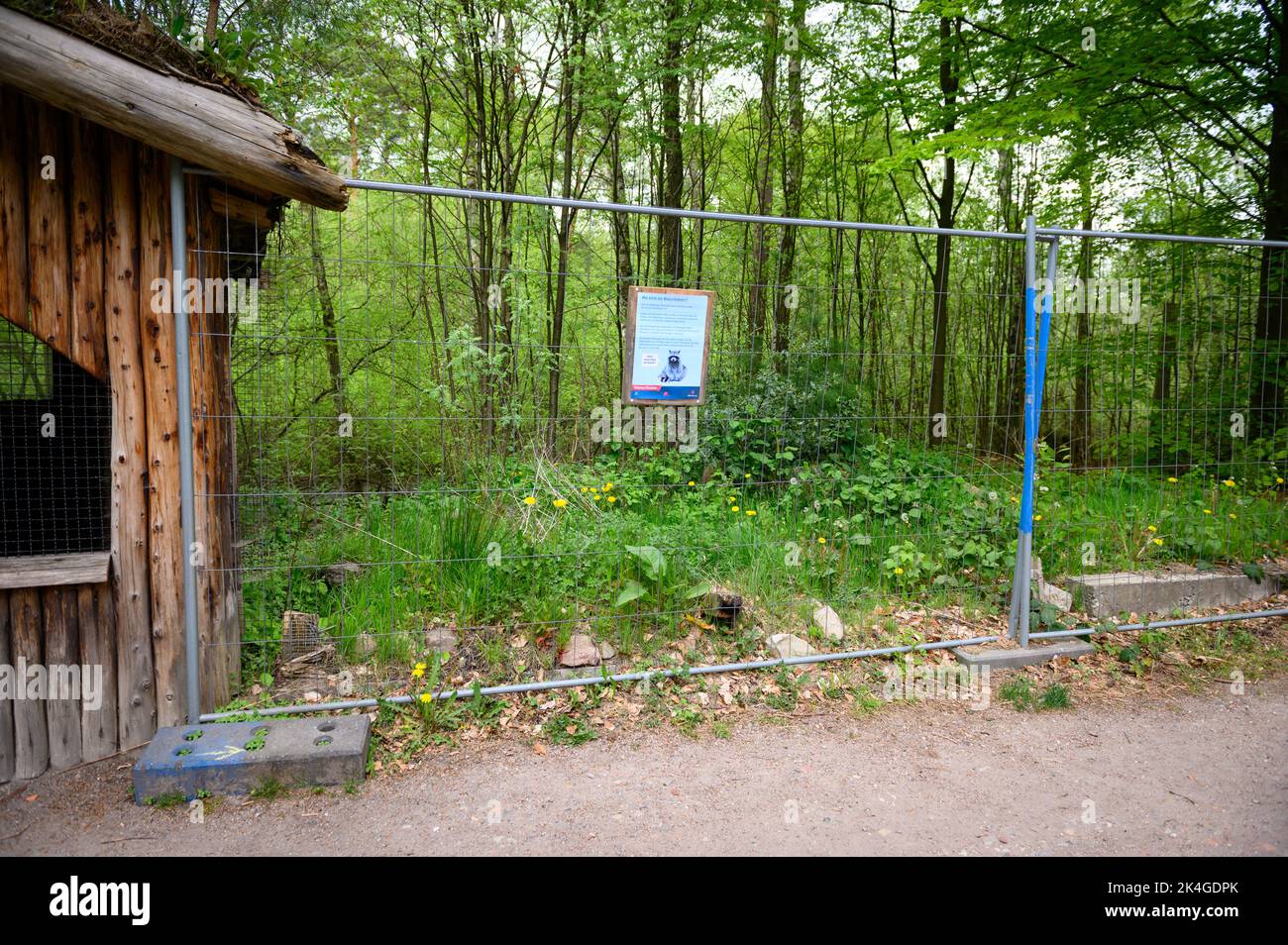 Hamburg, Germany. 07th May, 2022. A construction fence encloses the site of the former raccoon enclosure in the Klövensteen game reserve. Credit: Jonas Walzberg/dpa/Alamy Live News Stock Photo