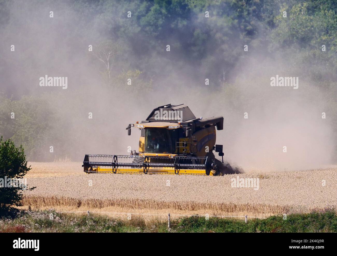 Kappeln, Germany. 12th Aug, 2022. 12.08.2022, Kappeln on the Schlei. A combine harvester drives across a field near Kappeln after a period of drought and drought, kicking up dust. Credit: Wolfram Steinberg/dpa Credit: Wolfram Steinberg/dpa/Alamy Live News Stock Photo