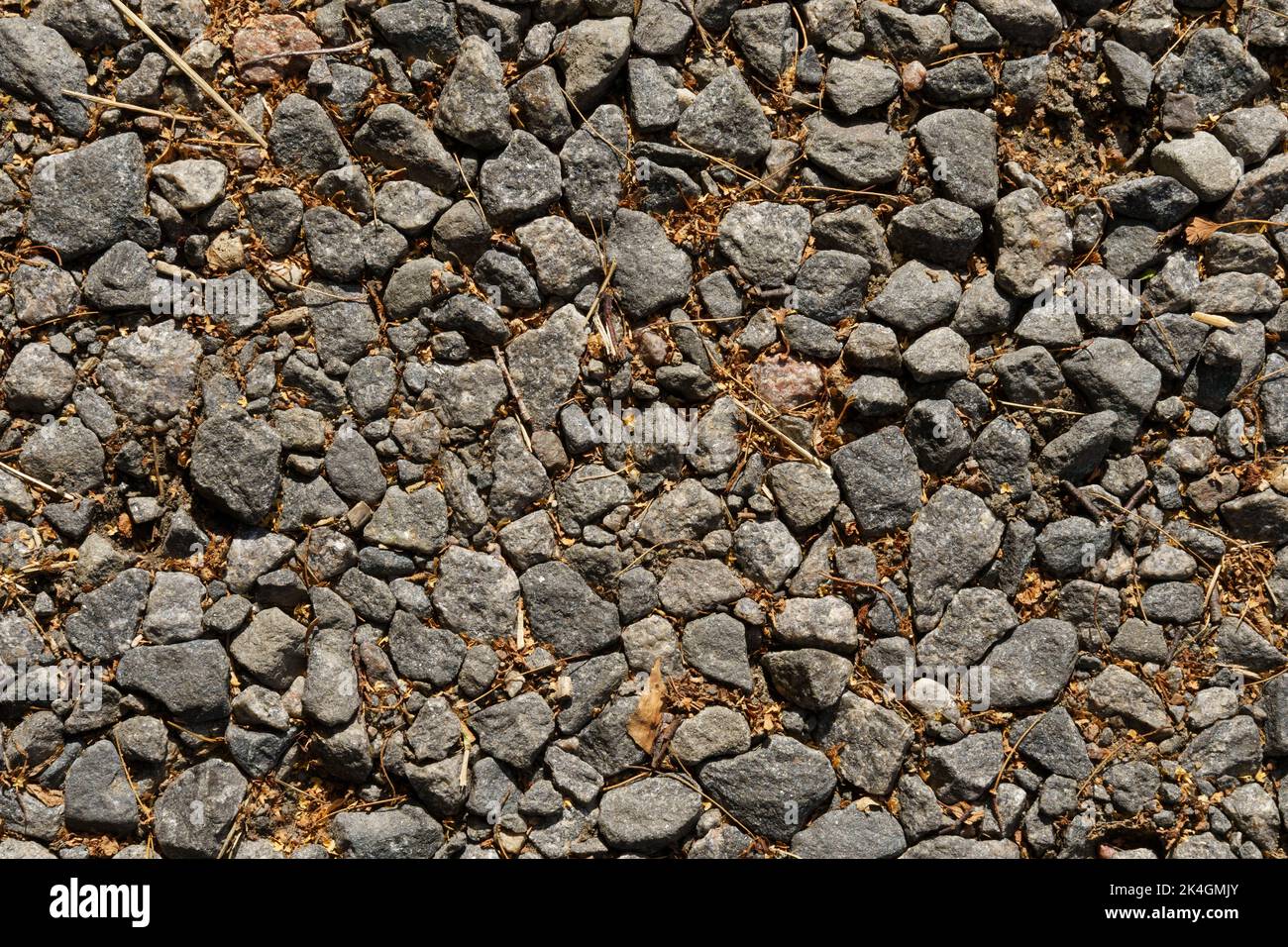 Gravel road texture. Gravel and fallen leaves. Backgrounds and texture