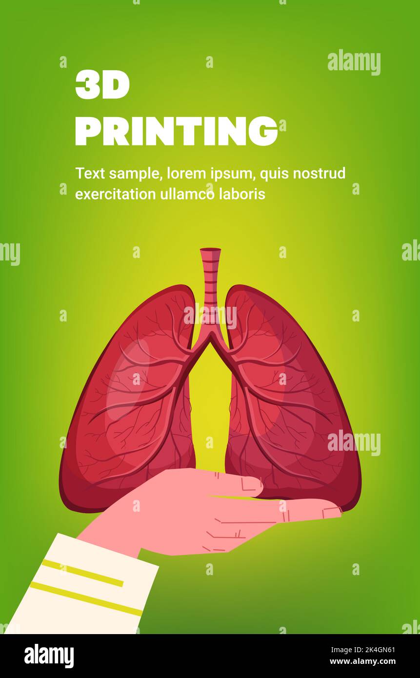 hand holding human transplantation lungs organ model prints on 3d bio ...