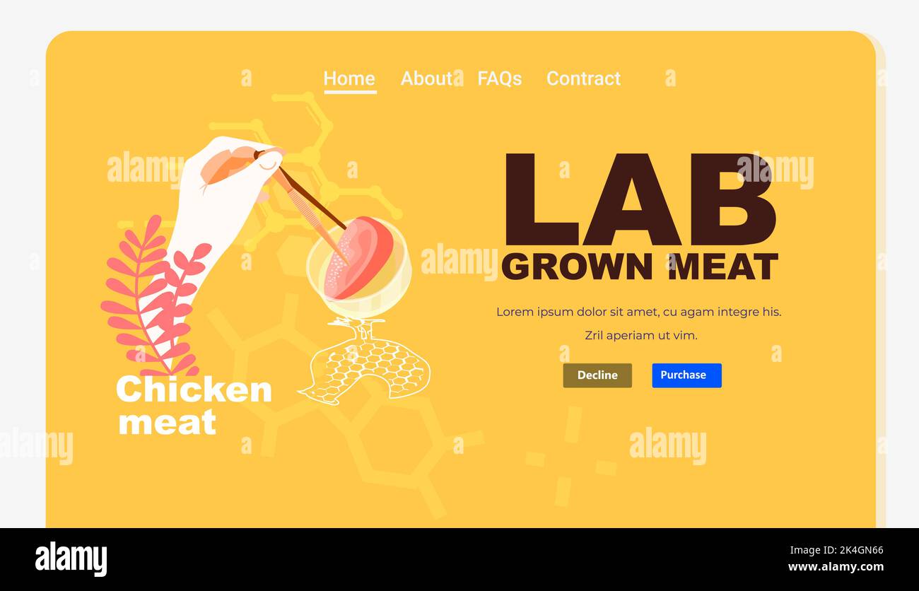 scientist hands analyzing dna of cultured red raw chicken meat made