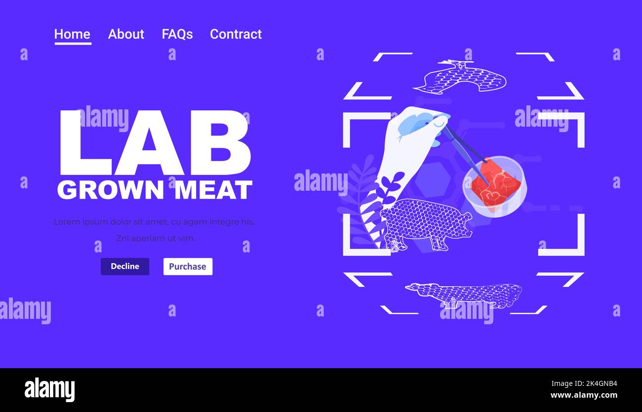 scientist hands analyzing dna of cultured red raw meat made from animal