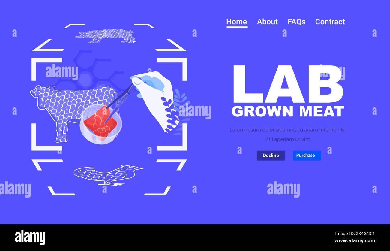 scientist hands analyzing dna of cultured red raw meat made from animal