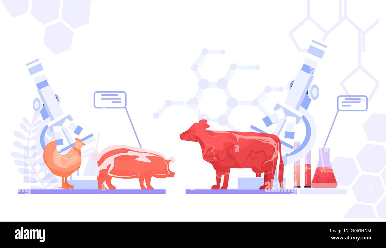 cultured red raw meat made from different animal cells artificial lab ...