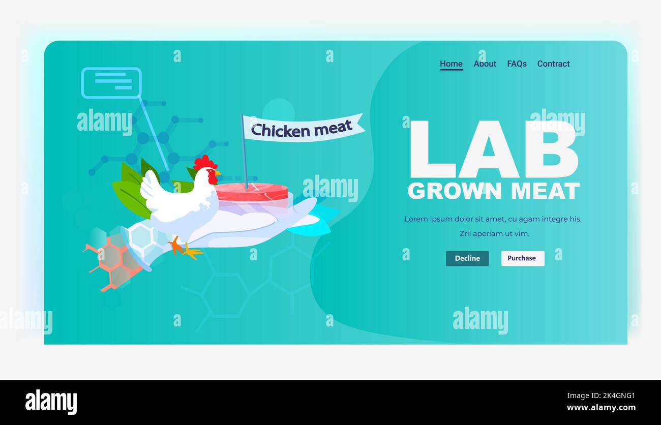 scientist hand holding cultured red raw chicken meat made from animal