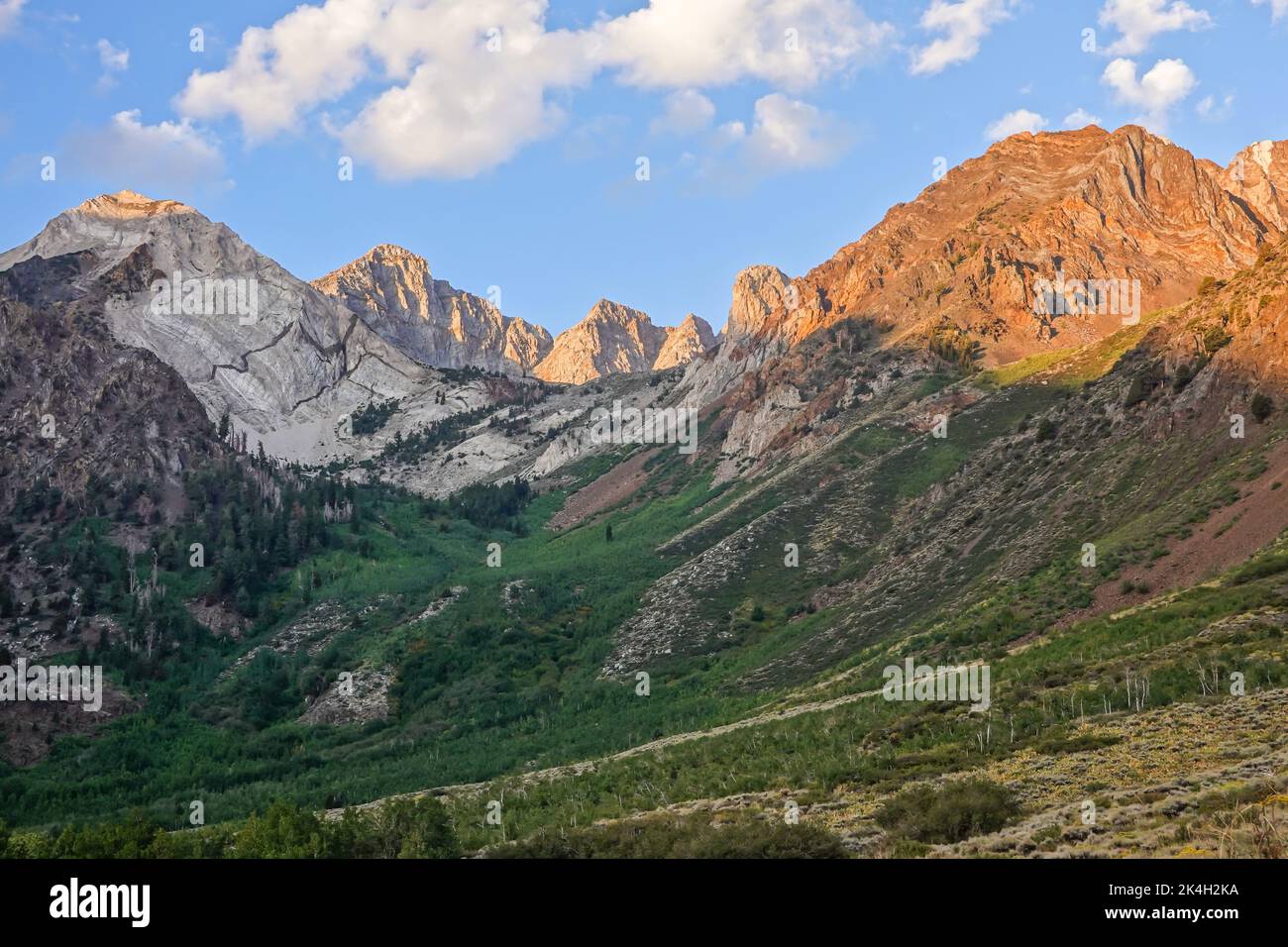 The McGee Canyon area of the John Muir Wilderness California. With the Eastern Sierra Nevada Mountains peaks rising in the background. early morning Stock Photo