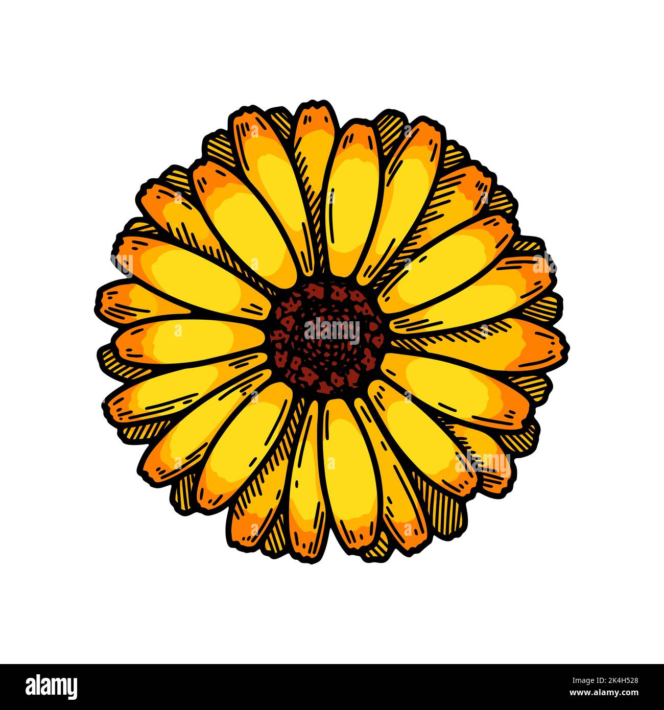 Jasmine Flower Icon Vector Illustration Design Ornamental Petal Yellow  Vector, Ornamental, Petal, Yellow PNG and Vector with Transparent  Background for Free Download