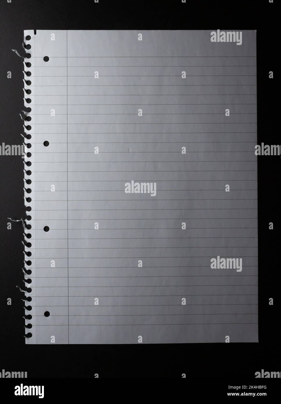 Hole punched sheet of lined white notebook paper, torn from spiral