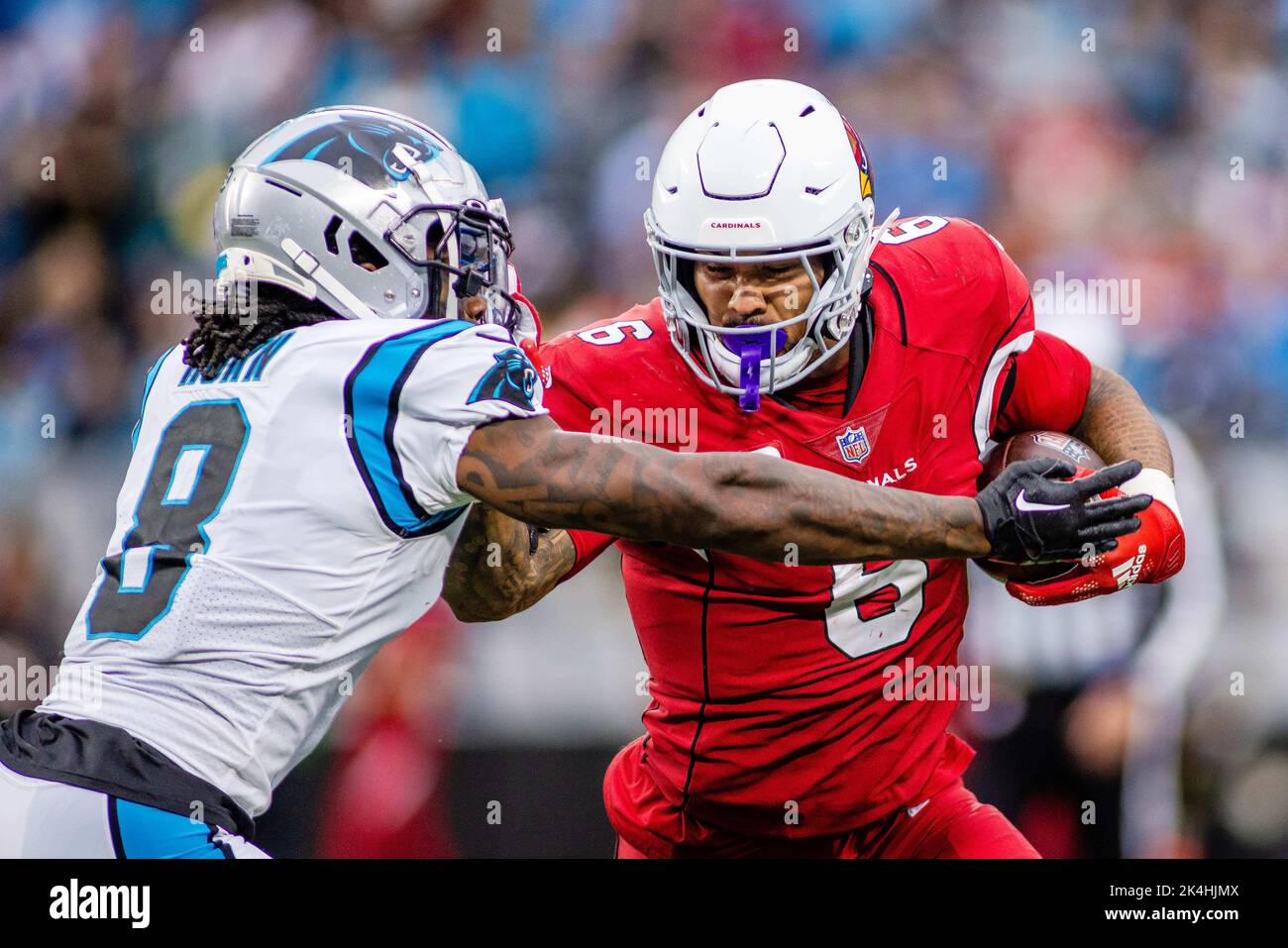 Carolina Panthers cornerback Jaycee Horn (8) lines up on defense