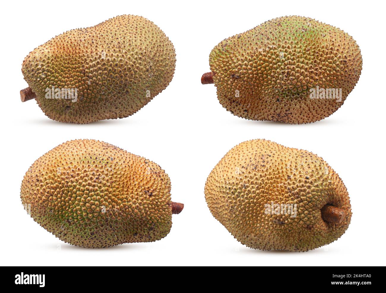jackfruit isolated on white background. Stock Photo
