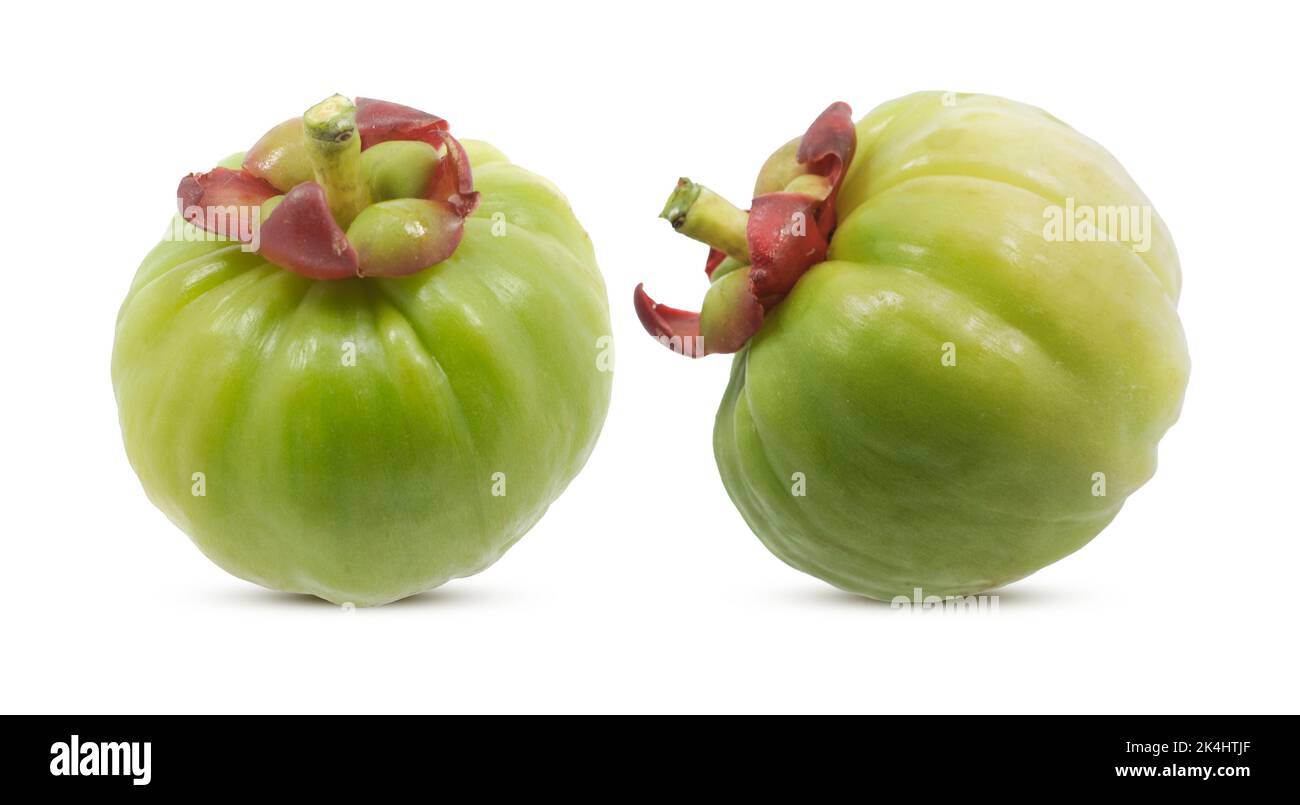 Garcinia atroviridis