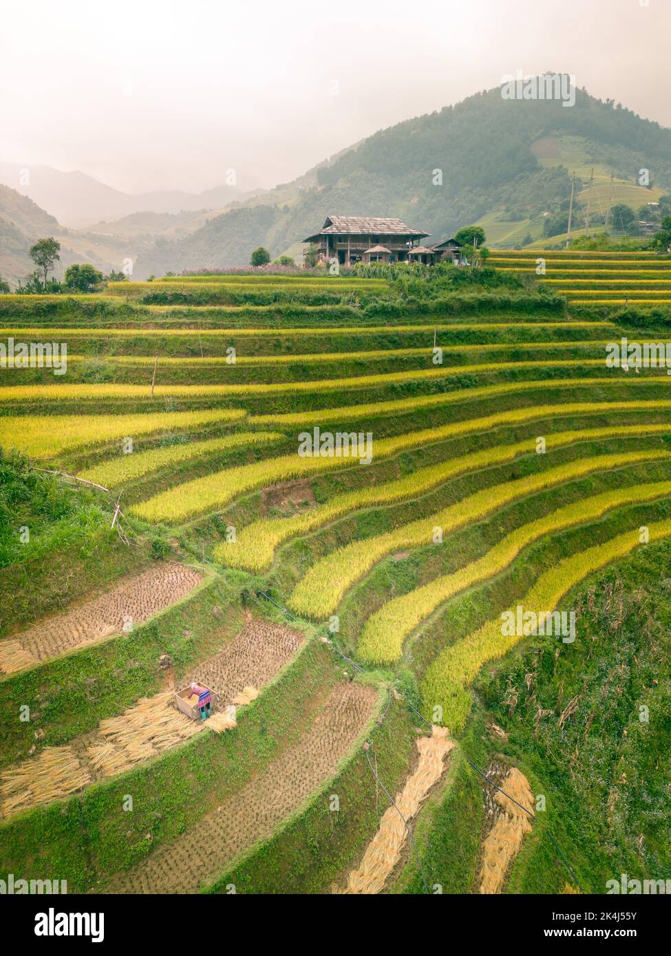 Aerial view of golden rice terraces at Mu cang chai town near Sapa city ...