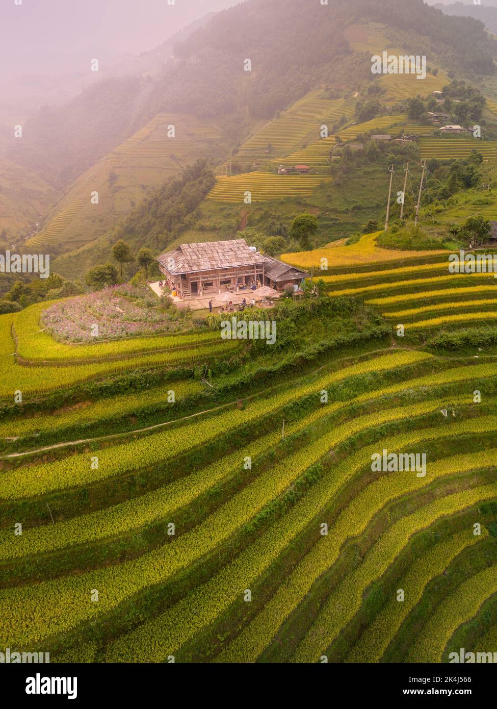 Aerial view of golden rice terraces at Mu cang chai town near Sapa city ...