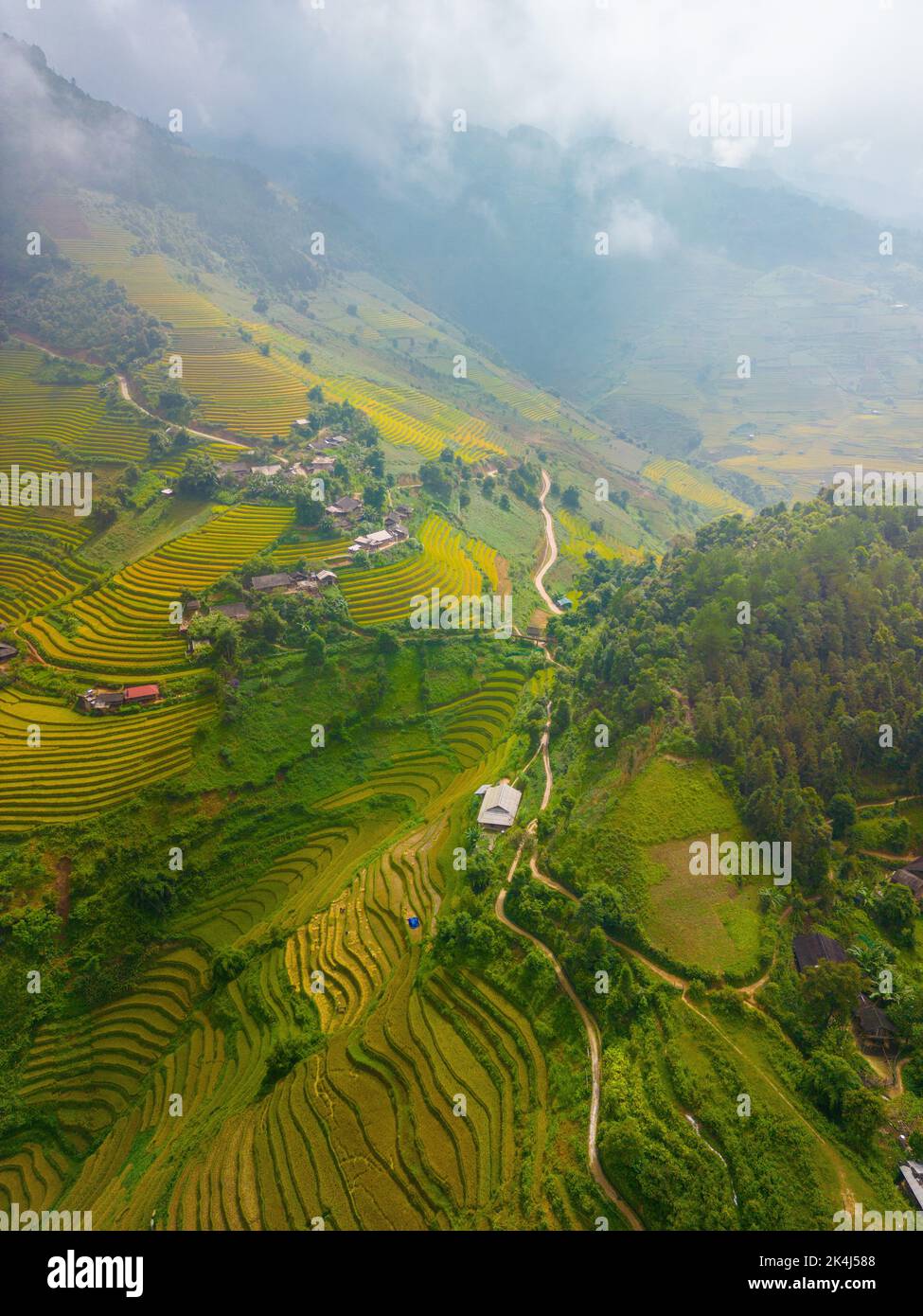 Aerial view of golden rice terraces at Mu cang chai town near Sapa city ...