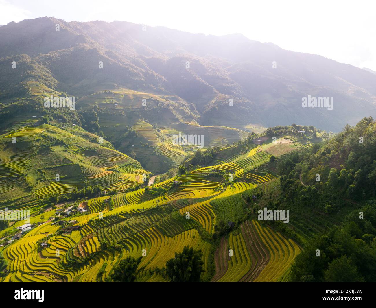 Aerial view of golden rice terraces at Mu cang chai town near Sapa city ...